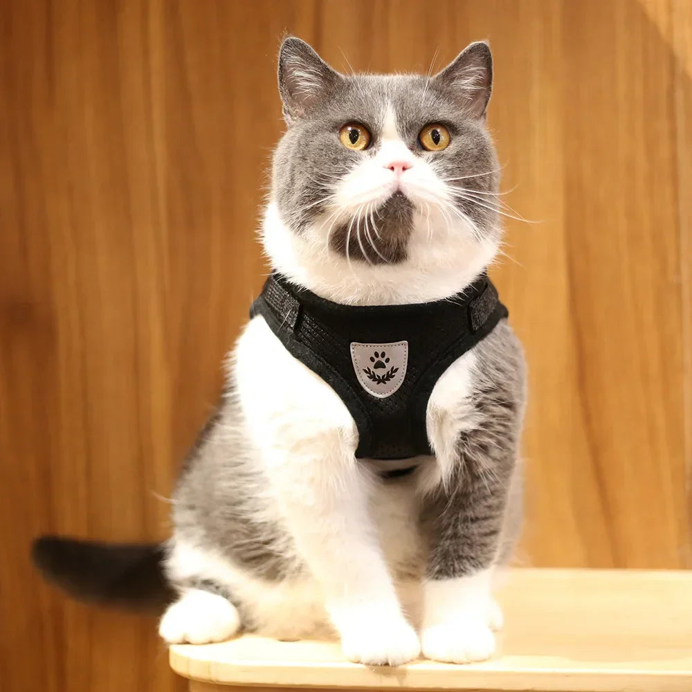 Reflective Escape-Resistant Cat Harness & Leash