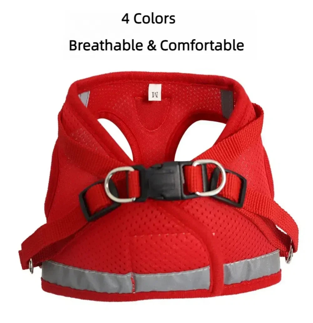 Reflective Escape-Resistant Cat Harness & Leash