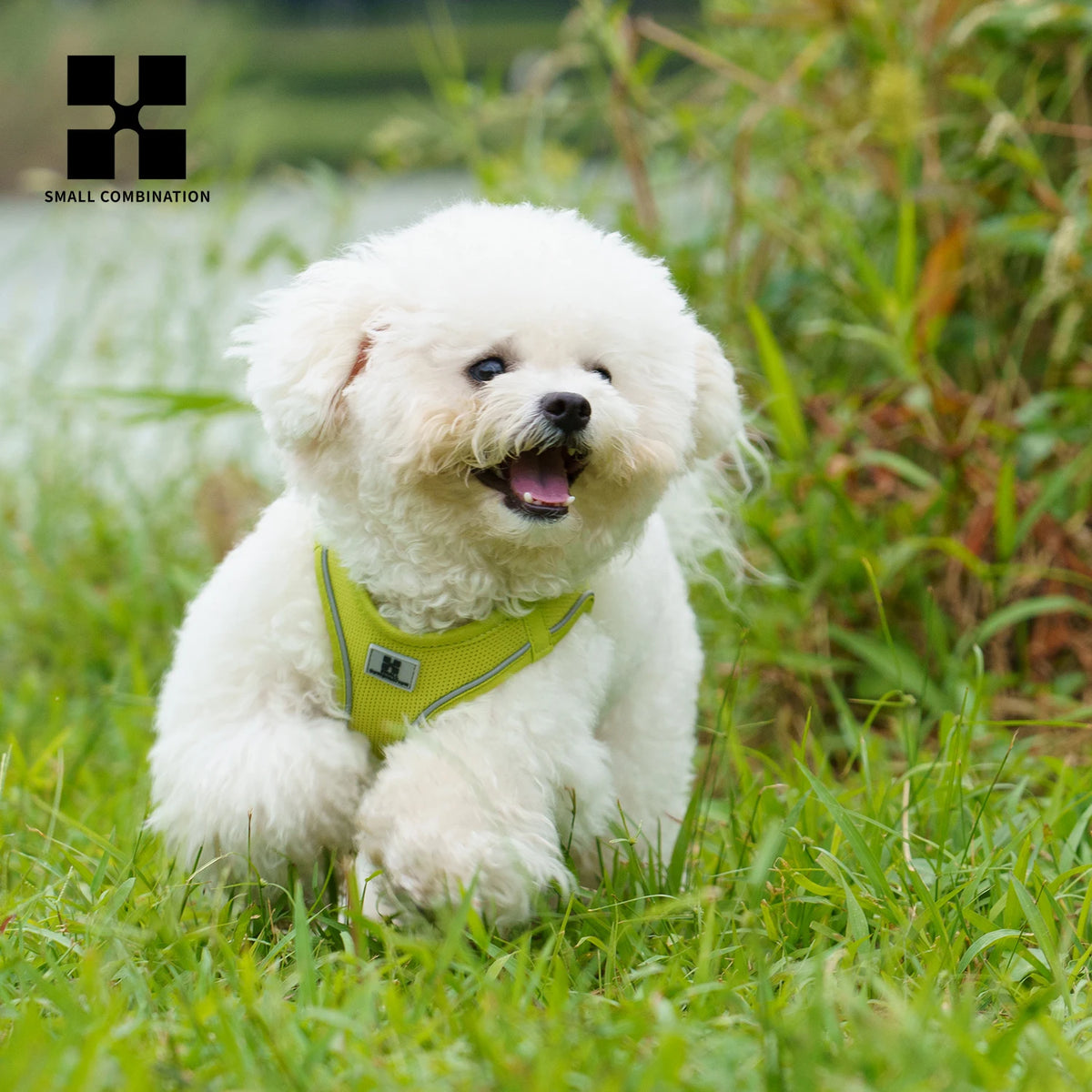 Reflective Adjustable Dog Harness & Leash Set
