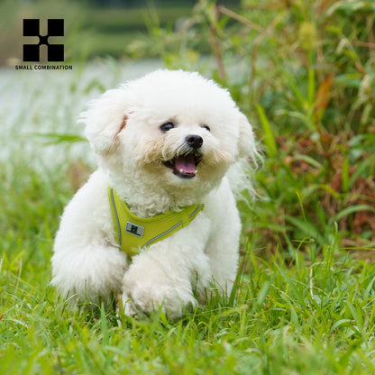 Reflective Adjustable Dog Harness & Leash Set