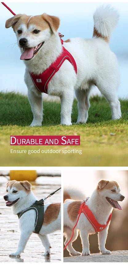 Reflective Adjustable Dog Harness & Leash Set