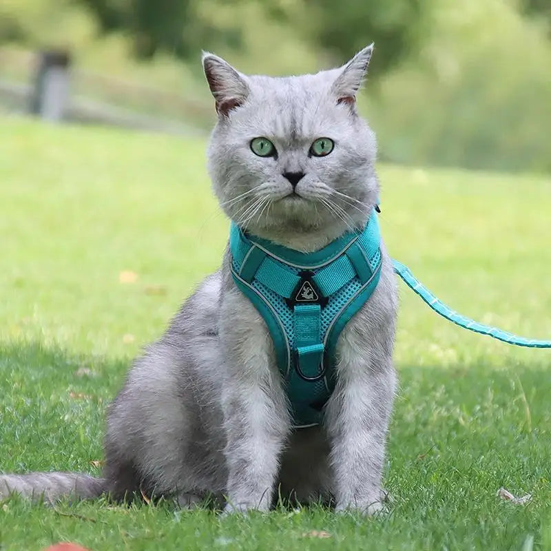 Reflective No-Pull Harness & Leash Set