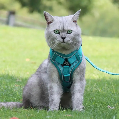 Reflective No-Pull Harness & Leash Set