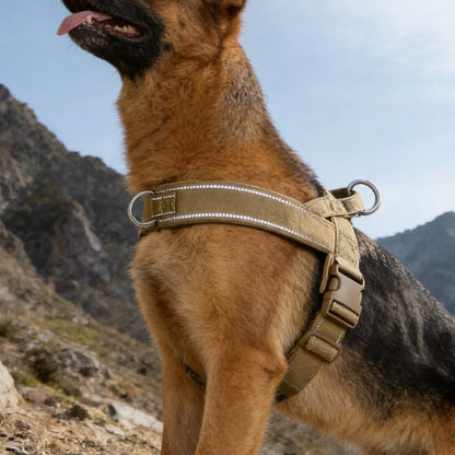 Heavy-Duty Reflective Dog Harness