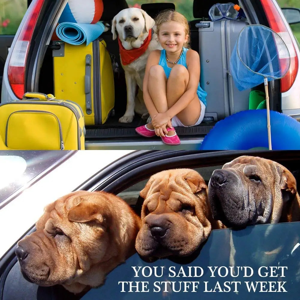 Adjustable Pet Car Seat Belt Restraint