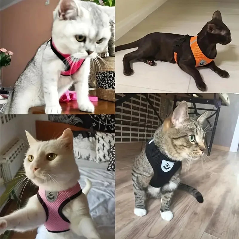 Breathable Mesh Small Pet Harness & Leash