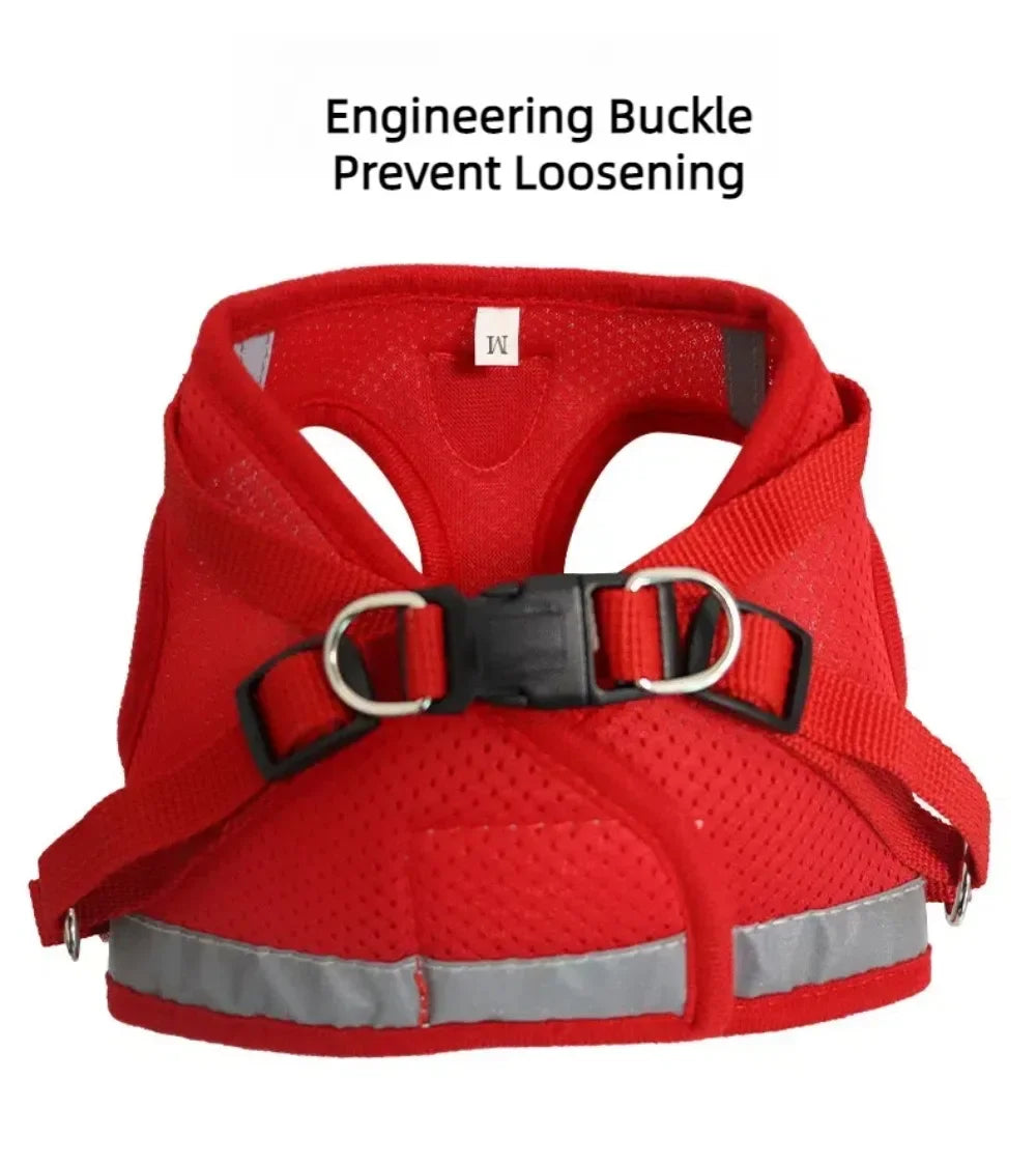 Reflective Escape-Resistant Cat Harness & Leash