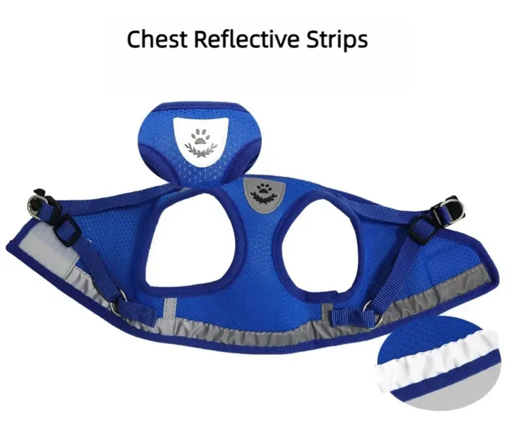 Reflective Escape-Resistant Cat Harness & Leash