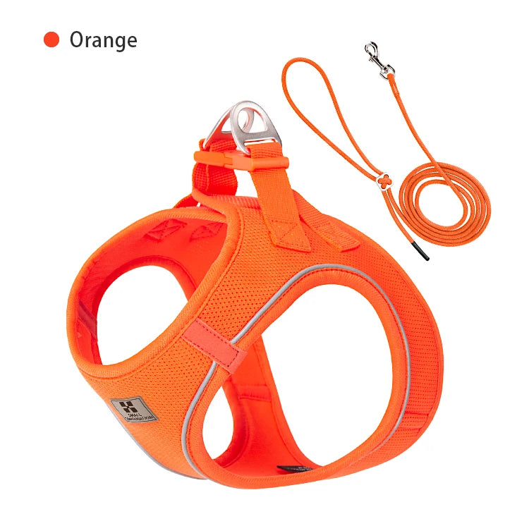 Reflective Adjustable Dog Harness & Leash Set