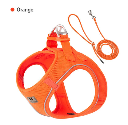 Reflective Adjustable Dog Harness & Leash Set