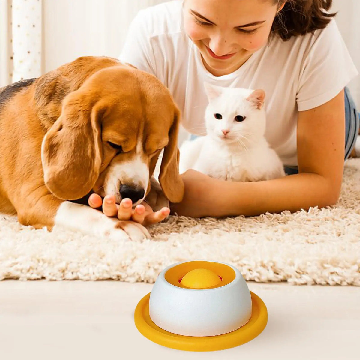 Dog Treat Puzzle Toy