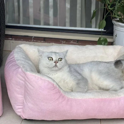 Cats Bed Dog Mat Beds Goods Pet Puppy Accessories All Products Kitten Cushions Things Accessory Houses Habitats House Supplies