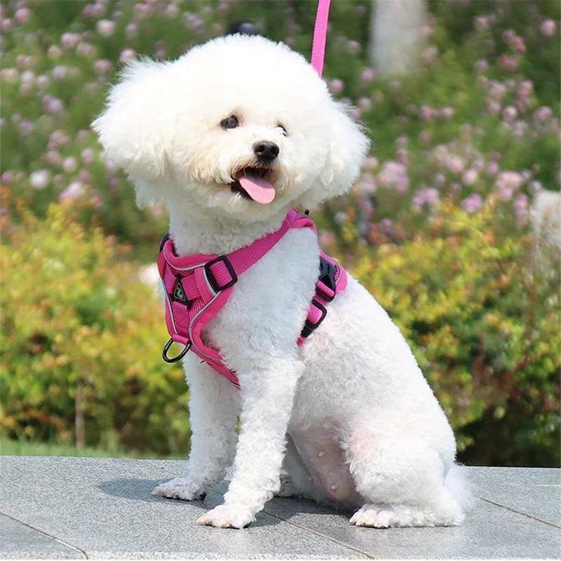 Reflective No-Pull Harness & Leash Set