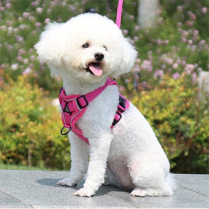 Reflective No-Pull Harness & Leash Set