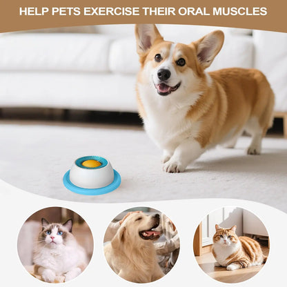 Dog Treat Puzzle Toy