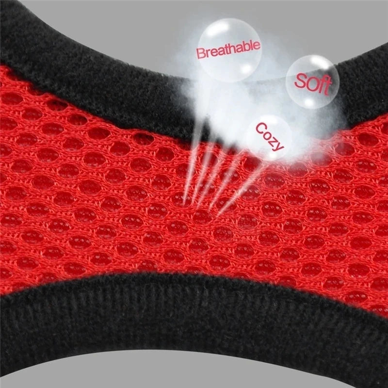 Soft Mesh Cat & Small Dog Harness with Leash