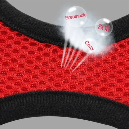 Soft Mesh Cat & Small Dog Harness with Leash