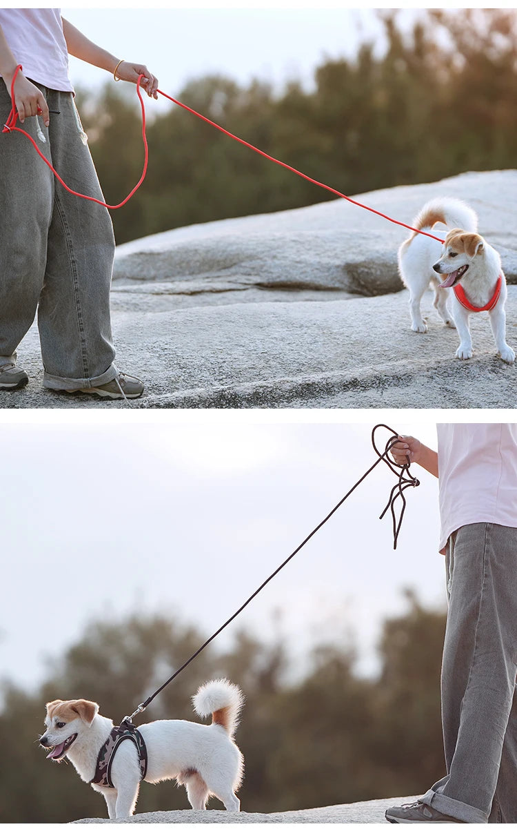 Reflective Adjustable Dog Harness & Leash Set