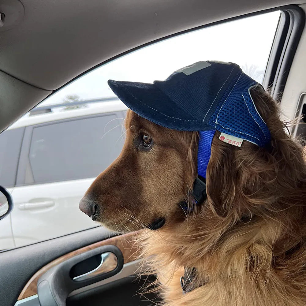 Outdoor Dog Sun Hat & Baseball Cap