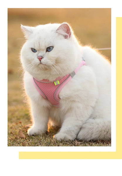 Breathable Reflective Pet Vest Harness