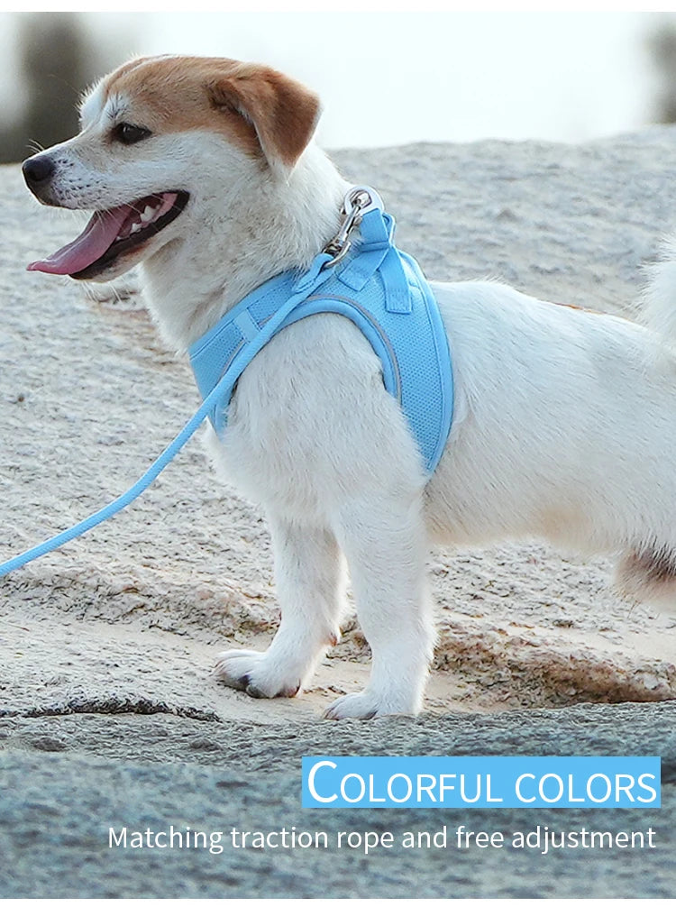 Reflective Adjustable Dog Harness & Leash Set
