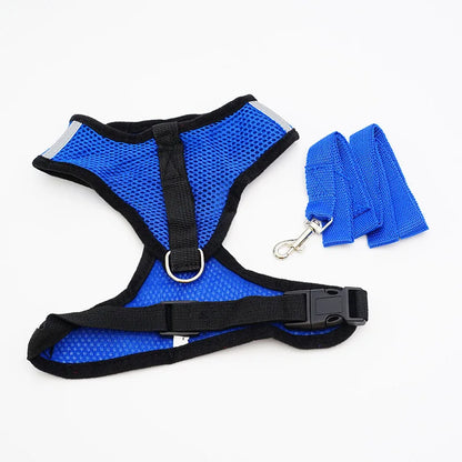 Breathable Mesh Small Pet Harness & Leash