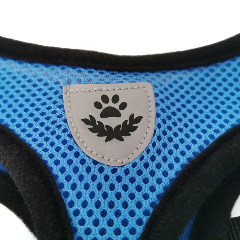 Soft Mesh Cat & Small Dog Harness with Leash