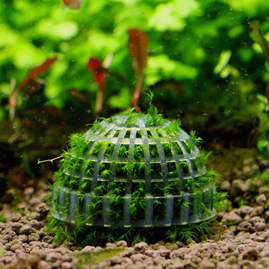 Aquarium Moss Ball Decoration