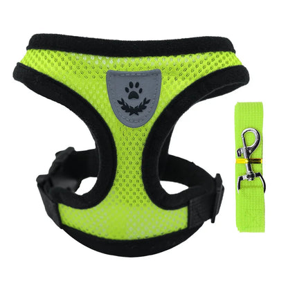 Breathable Mesh Small Pet Harness & Leash