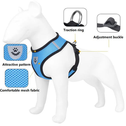 Reflective Cat Harness & Leash Set