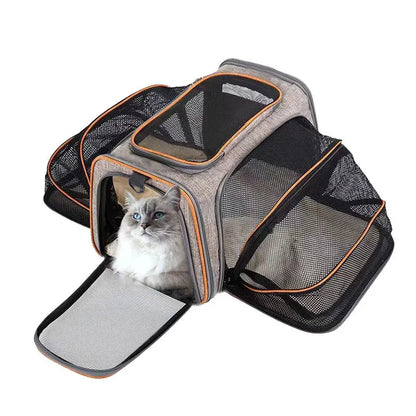 Foldable Breathable Dog & Cat Carrier