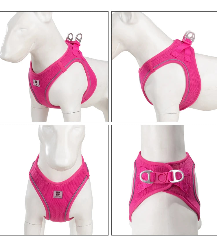 Reflective Adjustable Dog Harness & Leash Set