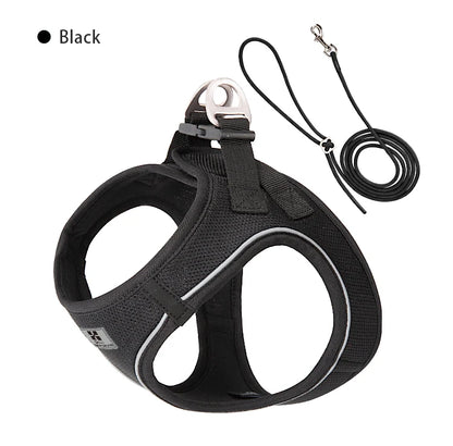 Reflective Adjustable Dog Harness & Leash Set