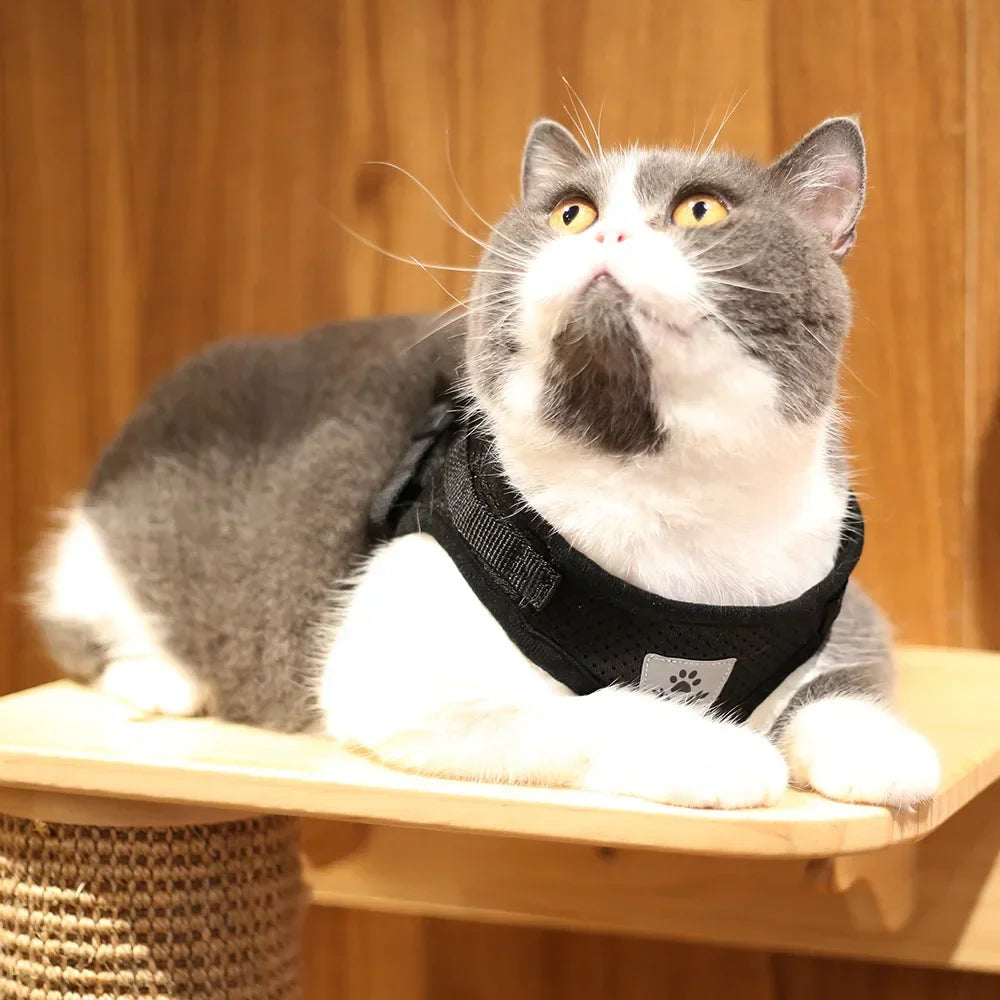 Reflective Escape-Resistant Cat Harness & Leash