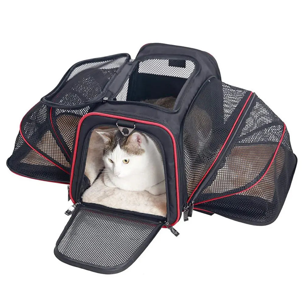 Foldable Breathable Dog & Cat Carrier