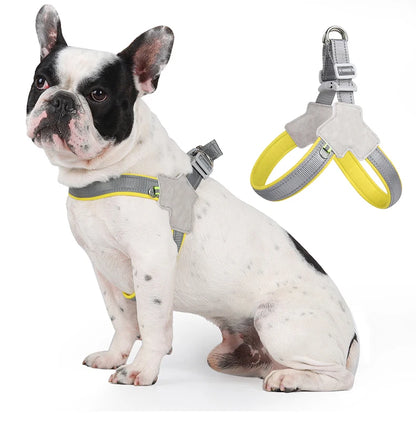 Reflective No-Pull Harness for Small & Medium Dogs