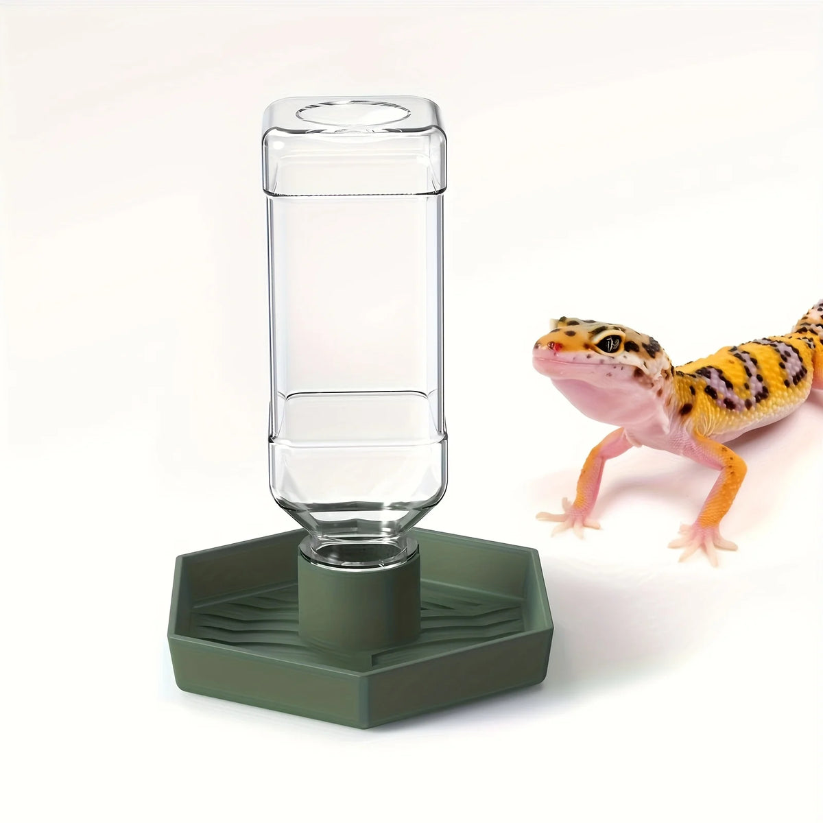 Automatic Reptile Food & Water Feeder