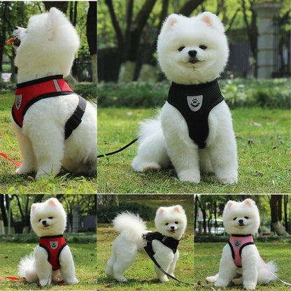 Breathable Mesh Small Pet Harness & Leash