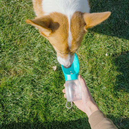 300 mL Portable Dog & Cat Water Bottle