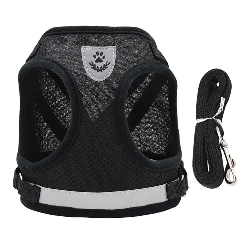 Reflective Escape-Resistant Cat Harness & Leash
