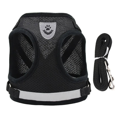 Reflective Escape-Resistant Cat Harness & Leash